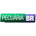 pecuaria-br060823.jpg